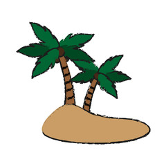 Fototapeta premium tropical palm icon over white background. colorful design. vector illustration