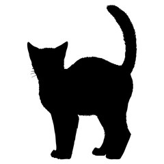 Cat silhouette. Black white icon. Vector illustration.