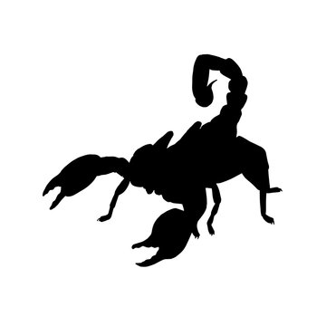 Scorpio silhouette. Black white icon. Vector illustration.
