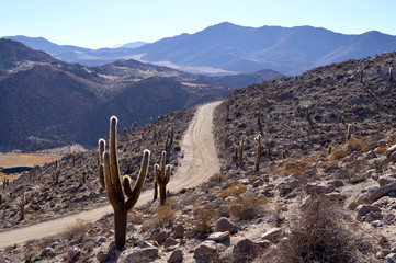 Salta