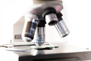Microscope