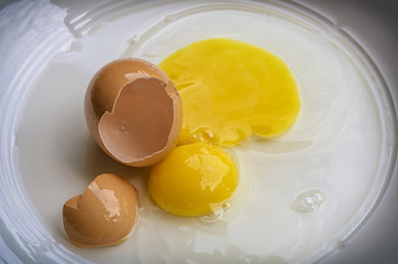 brown and white eegs