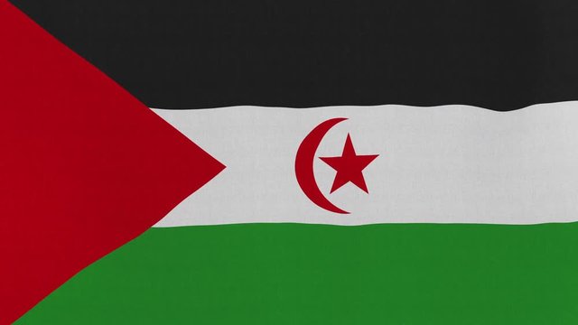 Loopable: Flag of Western Sahara...Sahraw official flag gently waving in the wind. Highly detailed fabric texture for 4K resolution. 15 seconds loop.
