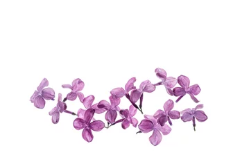 Zelfklevend Fotobehang lilac flowers isolated © Maksim Shebeko