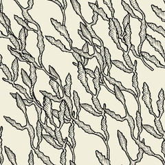 Seaweed on a beige background.