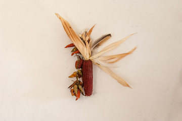 Rural still life, the cob dried red corn with a bundle of red pepper and chicken feather hanging on the bleached wall in the farmhouse. The composition is assembled by hand for raising crops