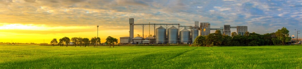 Agricultural Silos - Building Exterior, Storage and drying of grains, wheat, corn, soy, sunflower against the blue sky with rice fields.