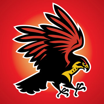 Hawk Bird Mascot