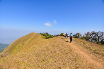 Fototapeta premium group of hiking on mountain at sunny day. subject is soft focus