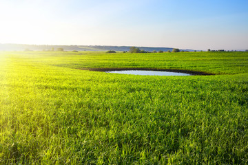 Green field with a lake in the center