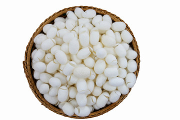 white cocoons in basket