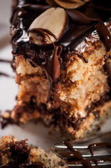 Homemade chocolate cake with walnut and poppy seeds.