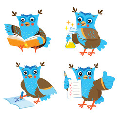 Educated Owl. Cute Owl And Learning Set On A White Background. Funny Owl Learn On A White Background. Cartoon Vector Illustrations. Owl Picture. Good Job. Owl Toy.