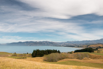 New Zealand coastal landscape