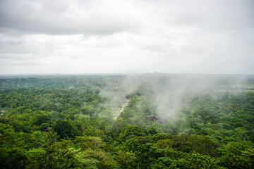 Fototapeta na wymiar Fog at Sigiriya Park, Sri Lanka