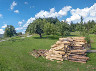 Bearbeitetes Brennholz auf einer Wiese in ländlicher Landschaft 