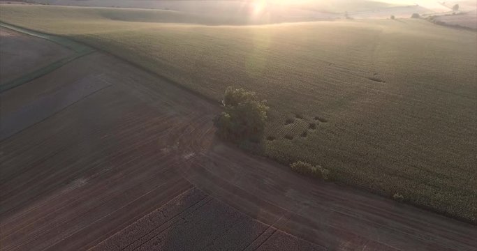 Aerial view of agricultural landscape.