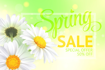 Fototapeta premium Springr sale concept. Summer background with chamomile and fresh green background. Template for banners, web, flyer, voucher. Vector illustration.