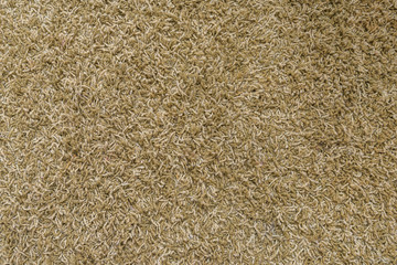 Close-up carpet background
