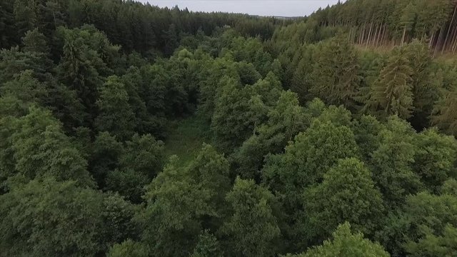 Aerial footage of woods.