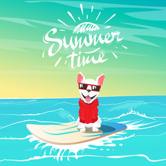 Cute happy dog and hipster swimming on surfboard