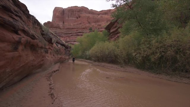 Backpacker crossing small stream Coyote Gulch