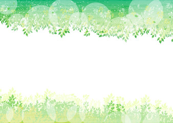 緑　新緑　木漏れ日　背景