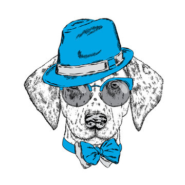 Cute puppy wearing a hat, sunglasses and a tie. Vector illustration. Beautiful dog. Dalmatians.