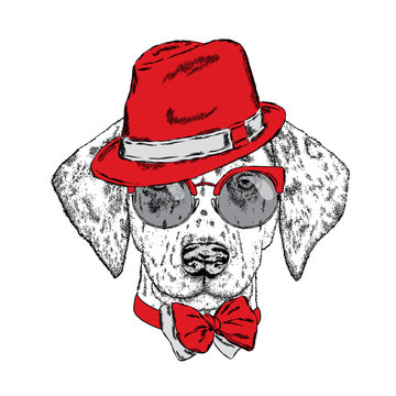 Cute puppy wearing a hat, sunglasses and a tie. Vector illustration. Beautiful dog. Dalmatians.