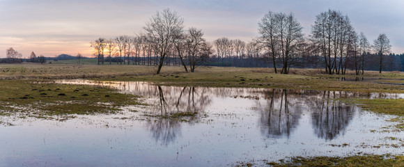 Sunrise at the drowned meadows during early spring. © Piotr Jankowiak