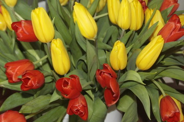 букет тюльпанов