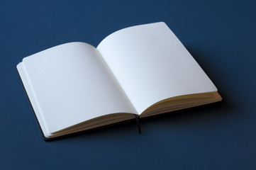 Open book with blank pages