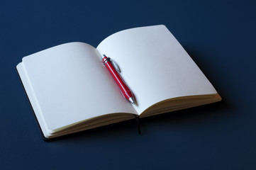 Open book with blank pages