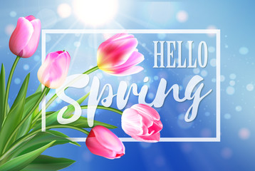 Hello spring banner. Greeting card background. Tulip flowers and lettering. Hello spring.