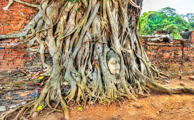Wat Mahathat at Ayutthaya Historical Park, Thailand