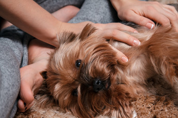 Girl with small dog