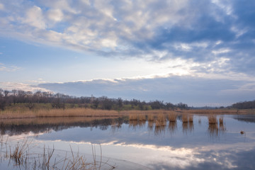 Obraz premium Misty morning at the lake