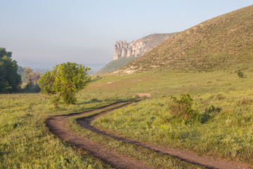 Summer landscape with green grass