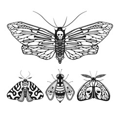Vector illustration with mystic ornamental butterflies isolated on white. Death's head moth illustration.