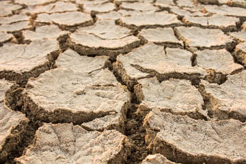 Fototapeta premium Drought, global warming, environment changes suddenly.