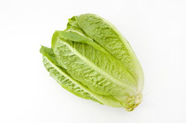 ロメインレタス