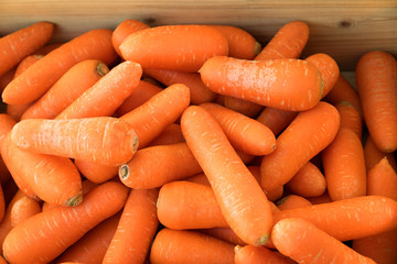 Fresh organic carrots