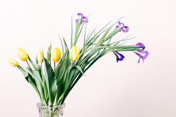 Yellow tulips and purple irises in a vase on a beige background