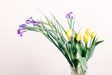 Purple irises and yellow tulips in a vase on a beige background