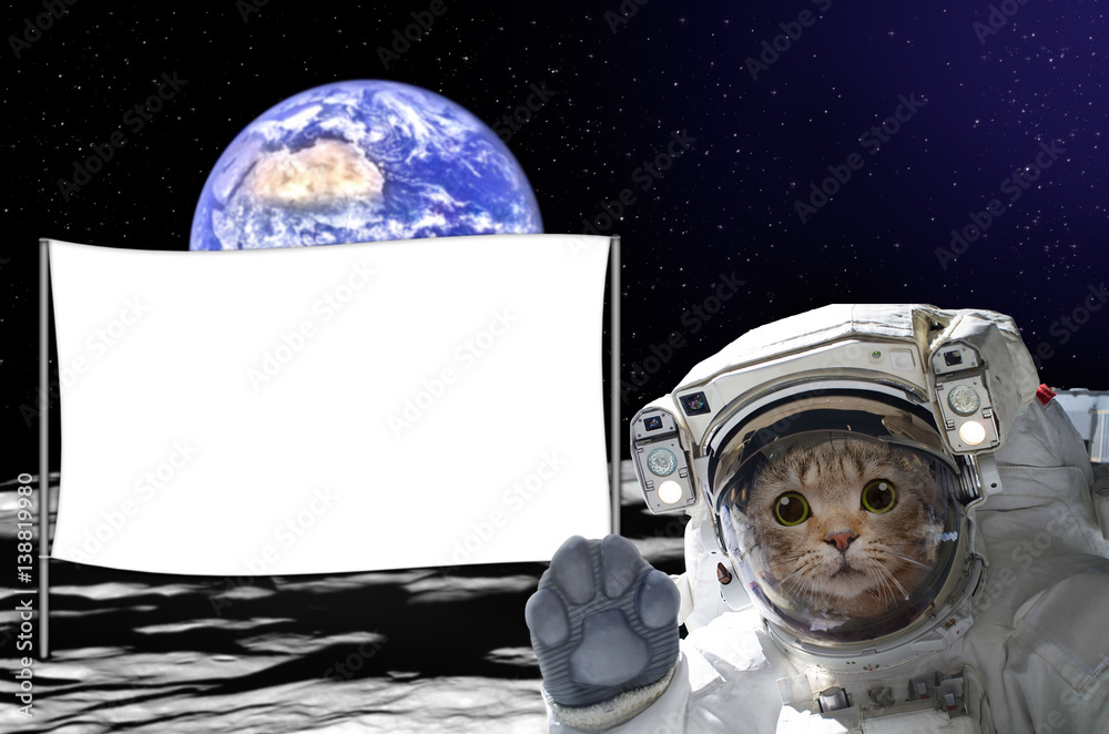 Canvas Prints cat astronaut on the moon with a banner behind him, on background of the globe. elements of this ima