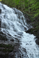 Beautiful waterfall in green forest in jungle. Jungle landscape with flowing red water of waterfall at deep tropical rain forest. National Park Old Mountain, Serbia