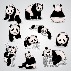 set of stylized pandas in different positions