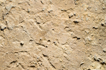 Orange sandstone on the beach closeup