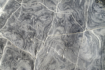 Gray sandstone on the beach closeup