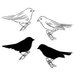 The outline and of the silhouette of the birds The first set vector